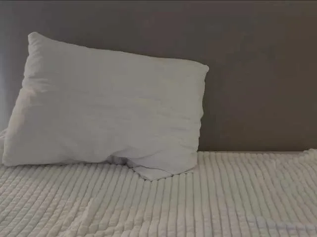 Offline -braveheart- on BongaCams