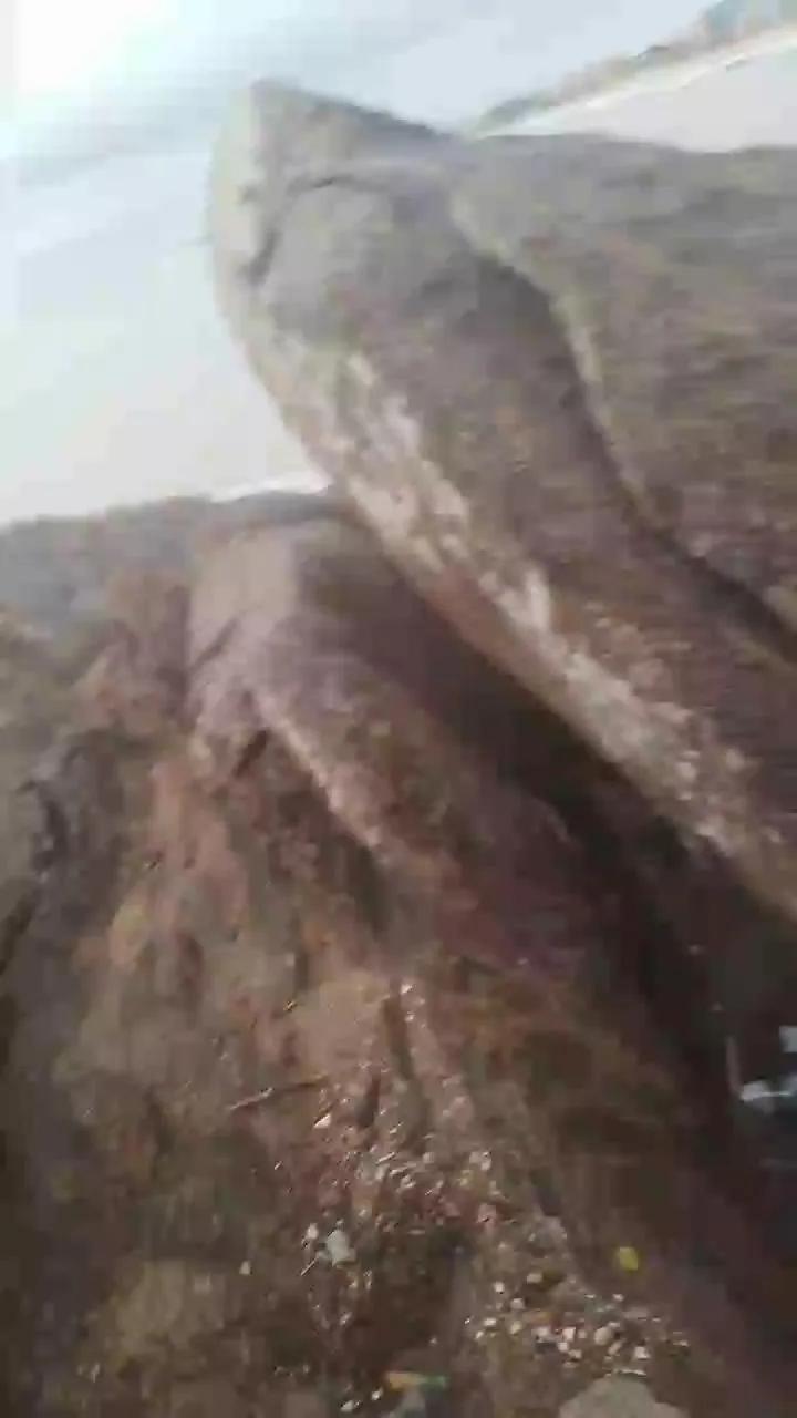 Daddy_capixaba on Cam4 