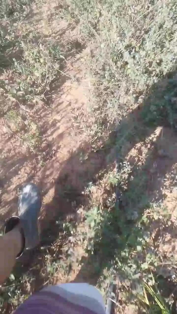 Daddy_capixaba on Cam4 