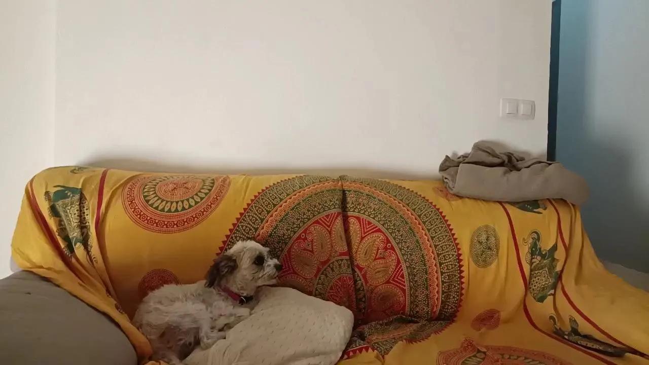 Miss_fantasy_ on Cam4 