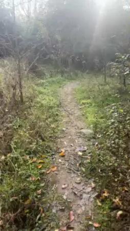 porcobg18 — #amateur #cum #pee #striptease #taboo #masturbation #armpits