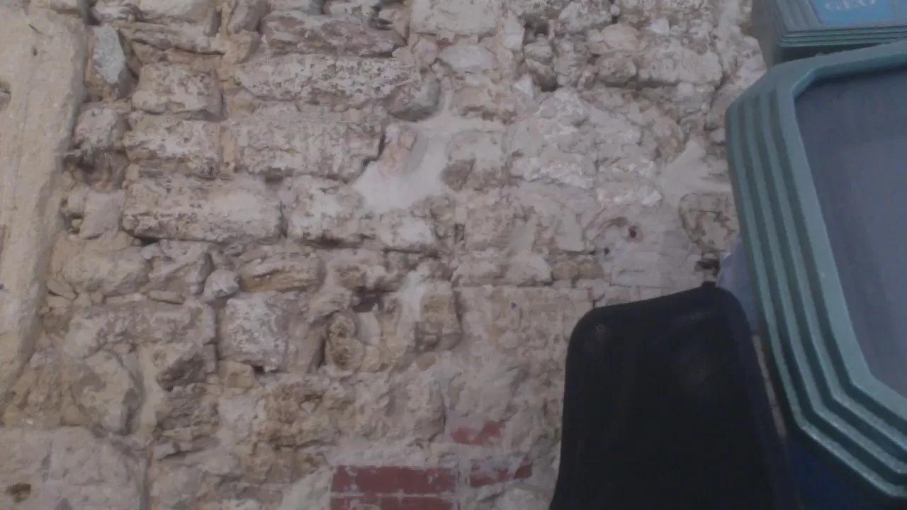 utrahardcok —  #striptease #pee #gamer #anal #cum #ass #amateur