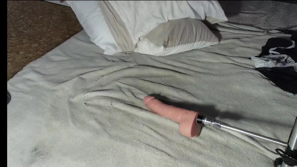 Offline ViolaSensation on Cam4