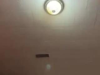 dogpound44 — Dave's chat