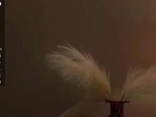 dollyhazlett on CamSoda 