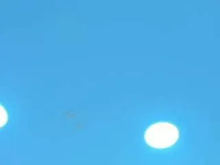 Offline lea-gray on CamSoda