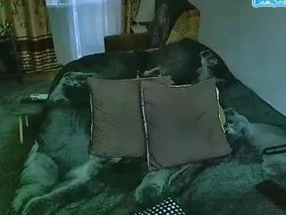 Offline sex2 on CamSoda