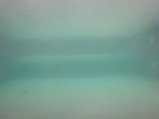 voyeurcam-casa-salsa-pool-1