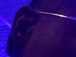 allan_barreto on Flirt4Free 