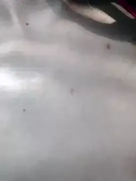 Offline Maiden-Hot on StripChat